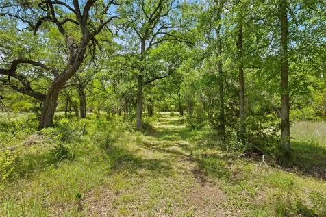1128 Posey Ranch Road Fischer TX 78623
