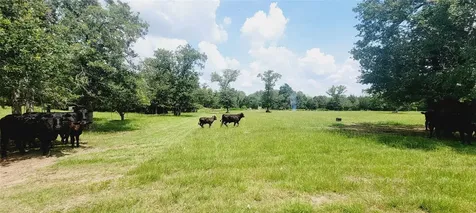 3321 County Road 457 Thorndale TX 76577