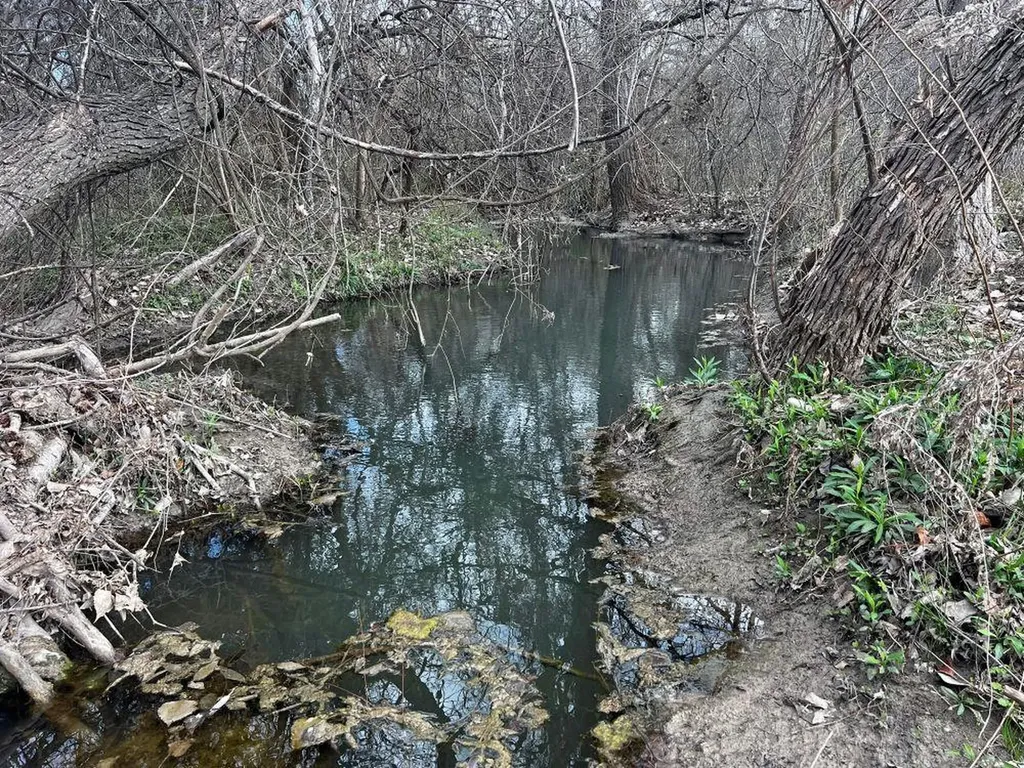 Tbd County Road 196 Georgetown TX 78626