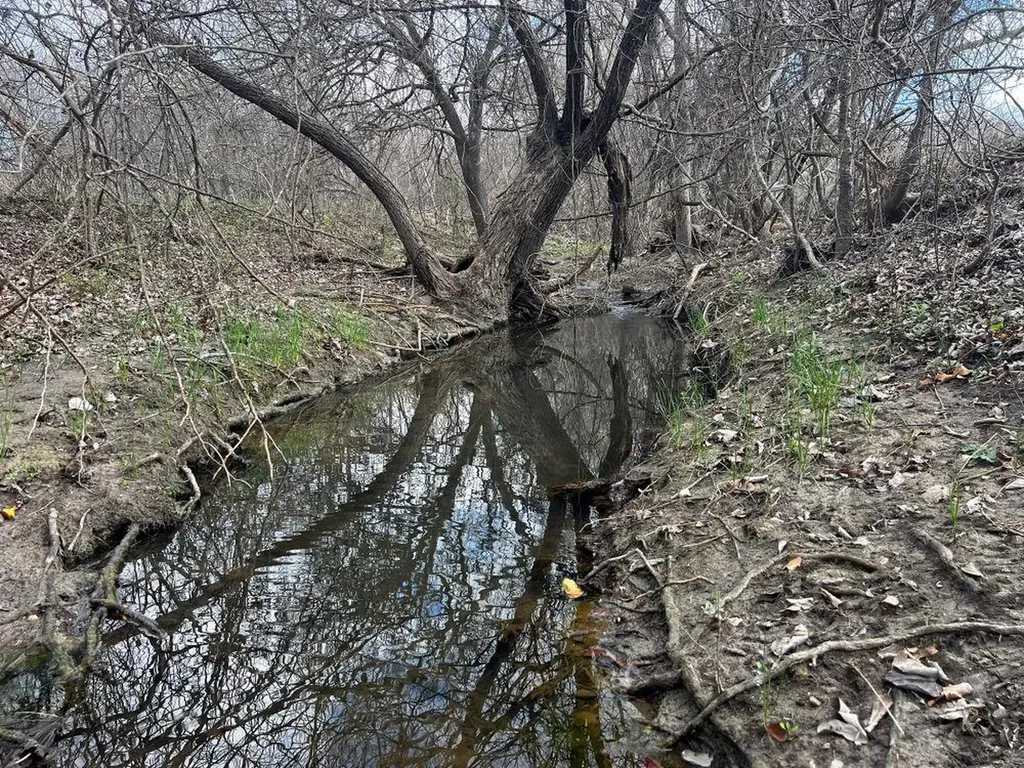 Tbd County Road 196 Georgetown TX 78626