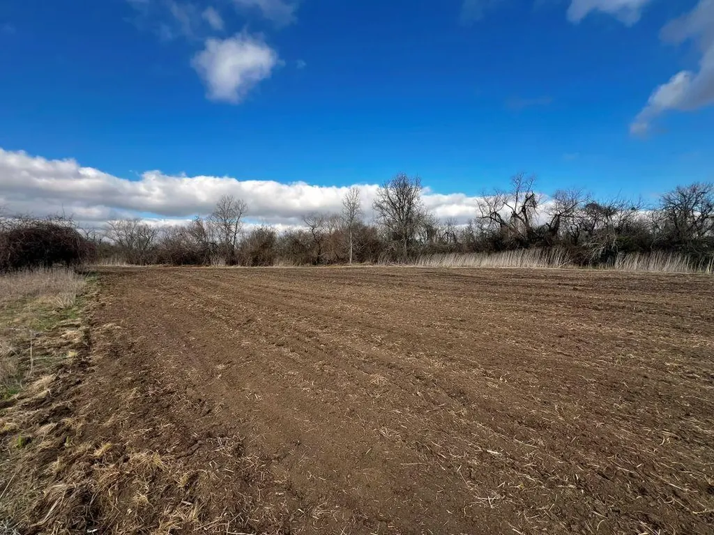 Tbd County Road 196 Georgetown TX 78626