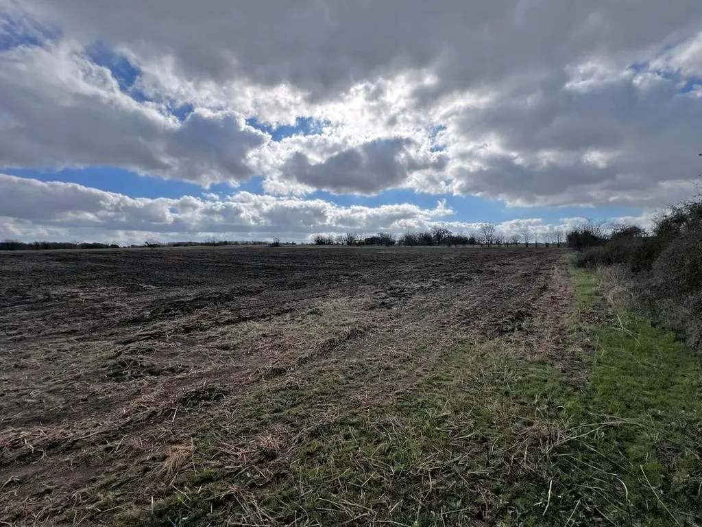 Tbd County Road 196 Georgetown TX 78626