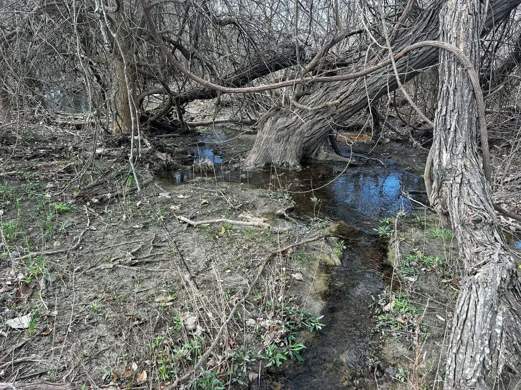Tbd County Road 196 Georgetown TX 78626