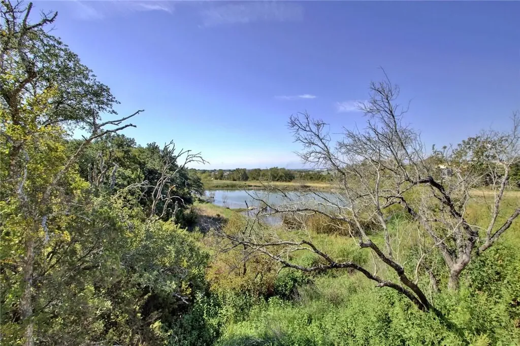 113 Meadow Wood Cove Georgetown TX 78626