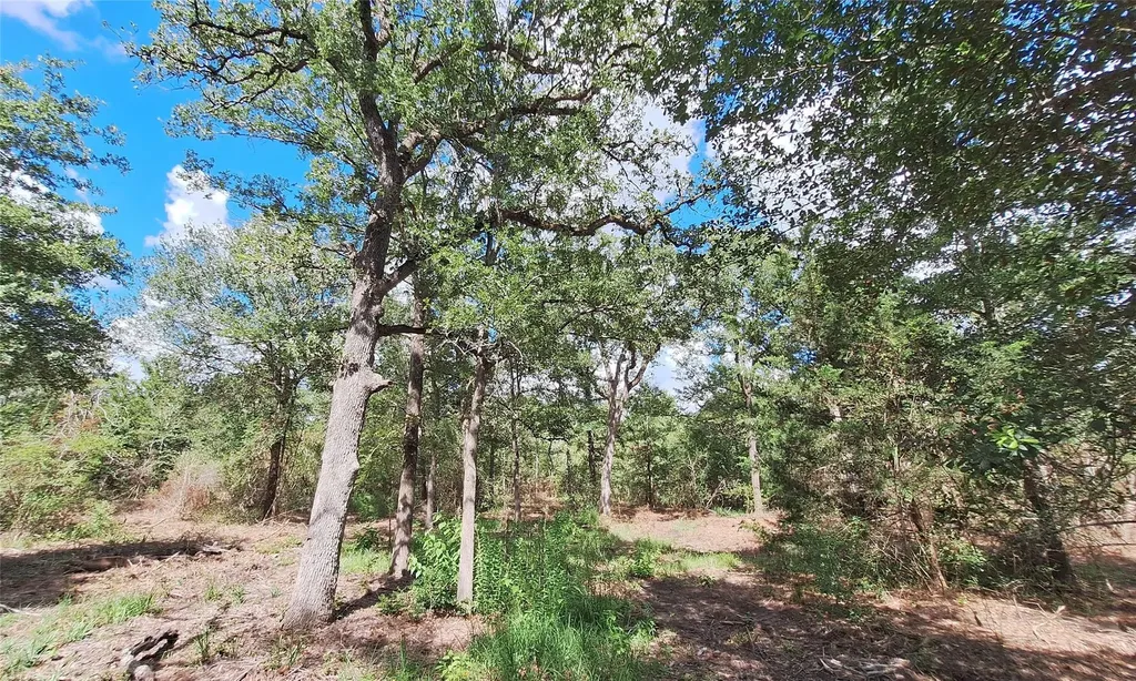 1014 Beaver Lake Drive Caldwell TX 77836