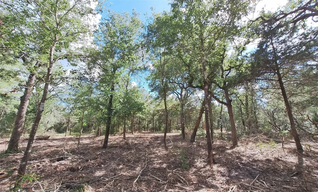 1014 Beaver Lake Drive Caldwell TX 77836
