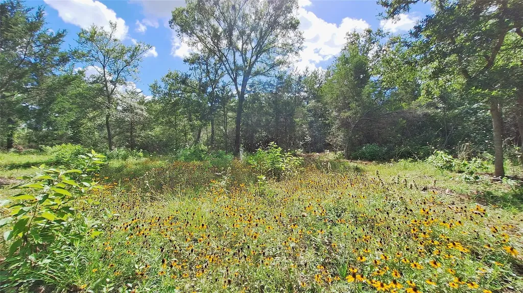 1014 Beaver Lake Drive Caldwell TX 77836