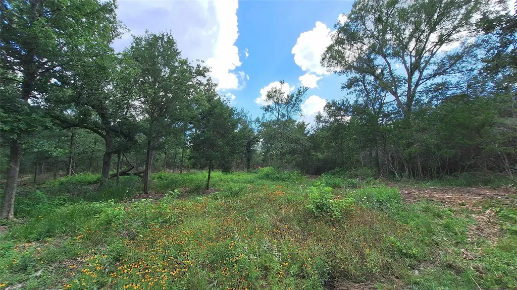 1014 Beaver Lake Drive Caldwell TX 77836