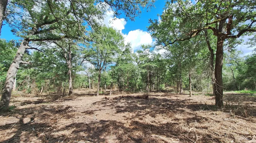 1014 Beaver Lake Drive Caldwell TX 77836