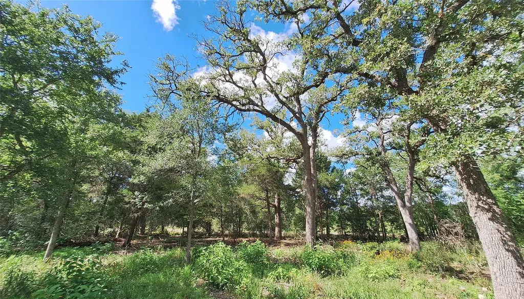 1014 Beaver Lake Drive Caldwell TX 77836