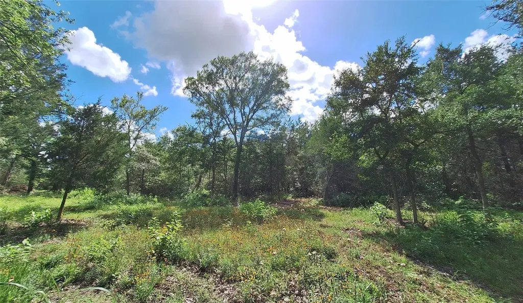 1014 Beaver Lake Drive Caldwell TX 77836