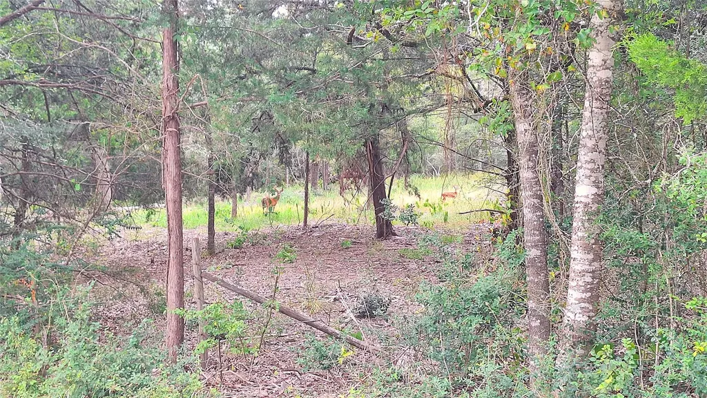 1014 Beaver Lake Drive Caldwell TX 77836