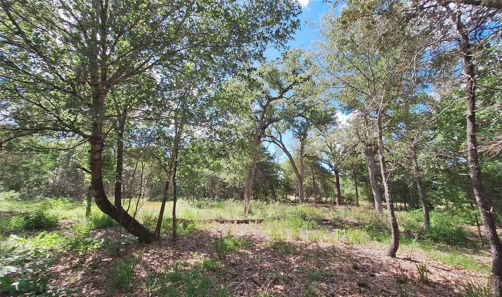 1014 Beaver Lake Drive Caldwell TX 77836