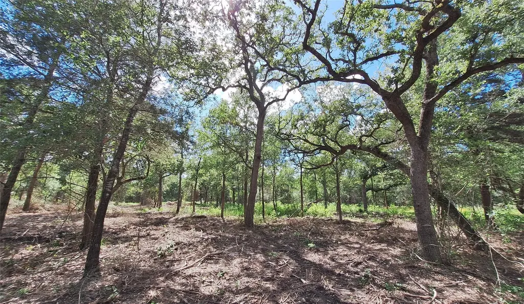 1014 Beaver Lake Drive Caldwell TX 77836