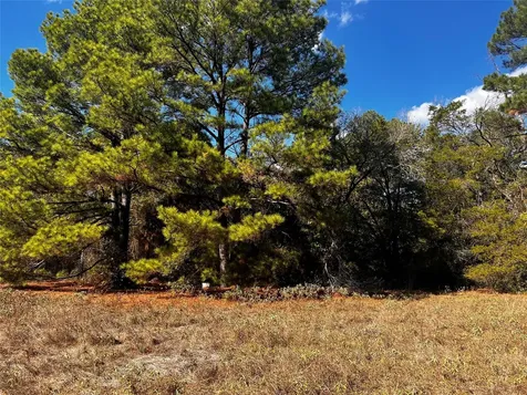 411 Laura Lane Bastrop TX 78602