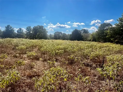 411 Laura Lane Bastrop TX 78602