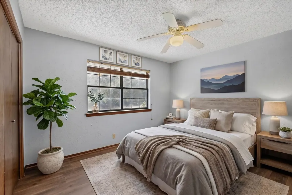 3311 Sesbania Drive Austin TX 78748