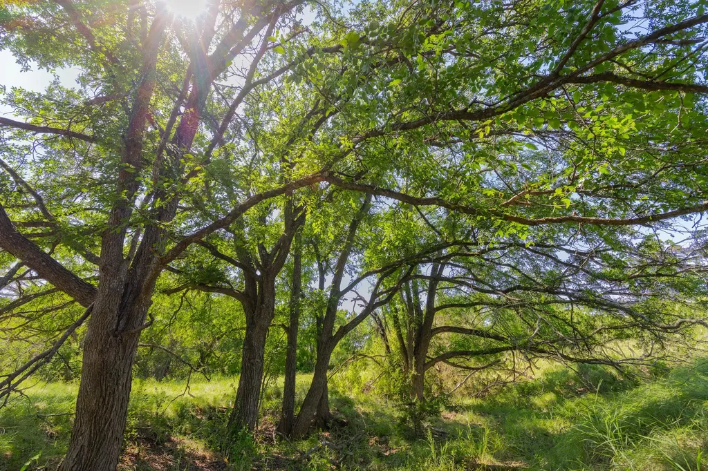 Tbd County Road 180 Covered Meadows Ranch Road Purmela TX 76566