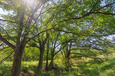 Tbd County Road 180 Covered Meadows Ranch Road Purmela TX 76566