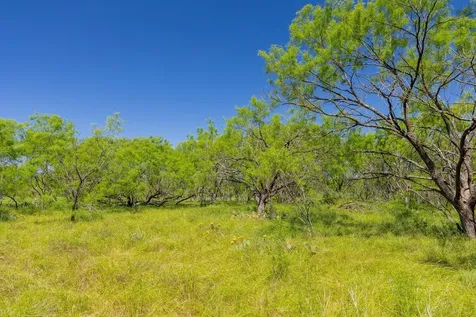 Tbd County Road 180 Covered Meadows Ranch Road Purmela TX 76566