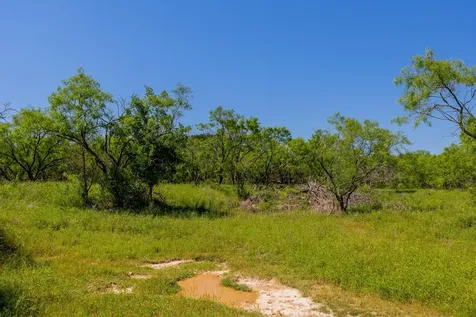 Tbd County Road 180 Covered Meadows Ranch Road Purmela TX 76566
