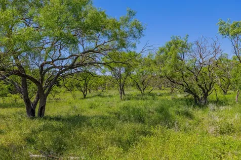 Tbd County Road 180 Covered Meadows Ranch Road Purmela TX 76566