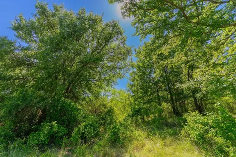 Tbd County Road 180 Covered Meadows Ranch Road Purmela TX 76566