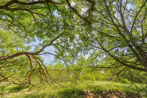Tbd County Road 180 Covered Meadows Ranch Road Purmela TX 76566