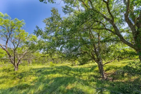 Tbd County Road 180 Covered Meadows Ranch Road Purmela TX 76566