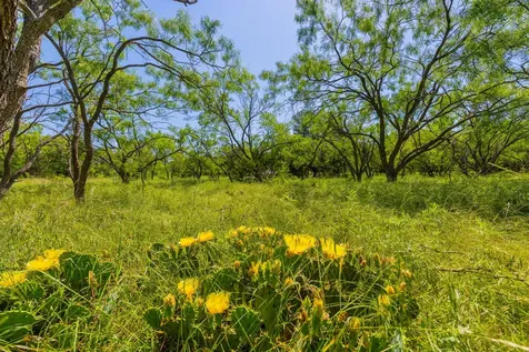 Tbd County Road 180 Covered Meadows Ranch Road Purmela TX 76566