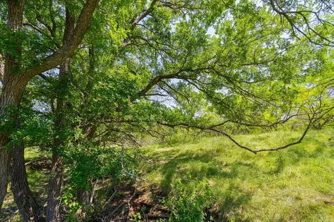 Tbd County Road 180 Covered Meadows Ranch Road Purmela TX 76566