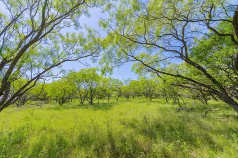 Tbd County Road 180 Covered Meadows Ranch Road Purmela TX 76566