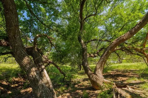Tbd County Road 180 Covered Meadows Ranch Road Purmela TX 76566