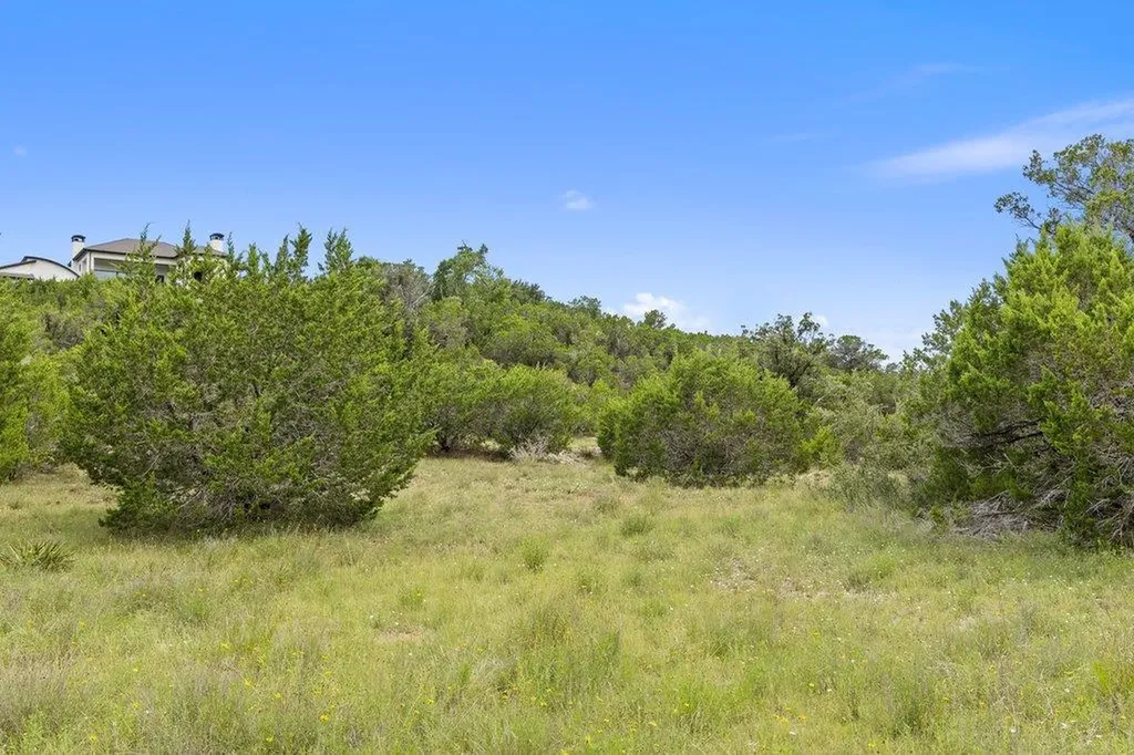 19401 Tessa Heights Lane Spicewood TX 78669