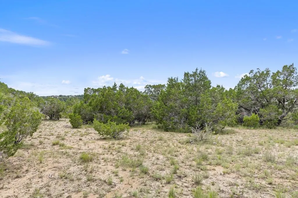 19401 Tessa Heights Lane Spicewood TX 78669