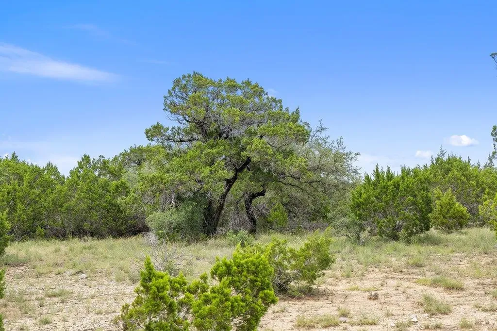 19401 Tessa Heights Lane Spicewood TX 78669