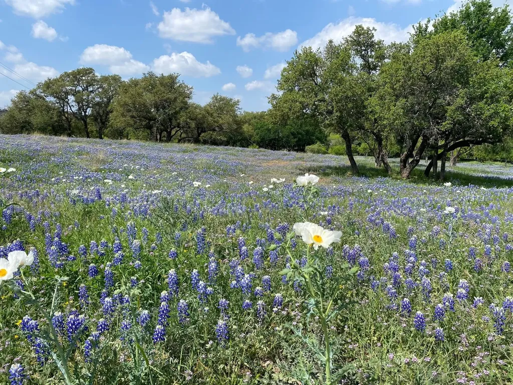 Lot 118 Overlook Parkway Horseshoe Bay TX 78657