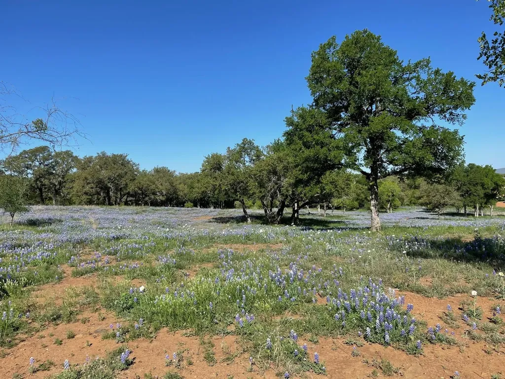 Lot 118 Overlook Parkway Horseshoe Bay TX 78657