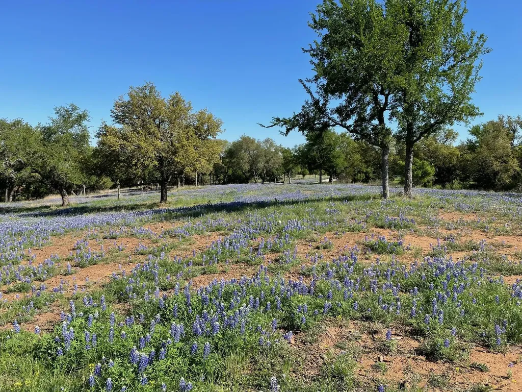 Lot 118 Overlook Parkway Horseshoe Bay TX 78657