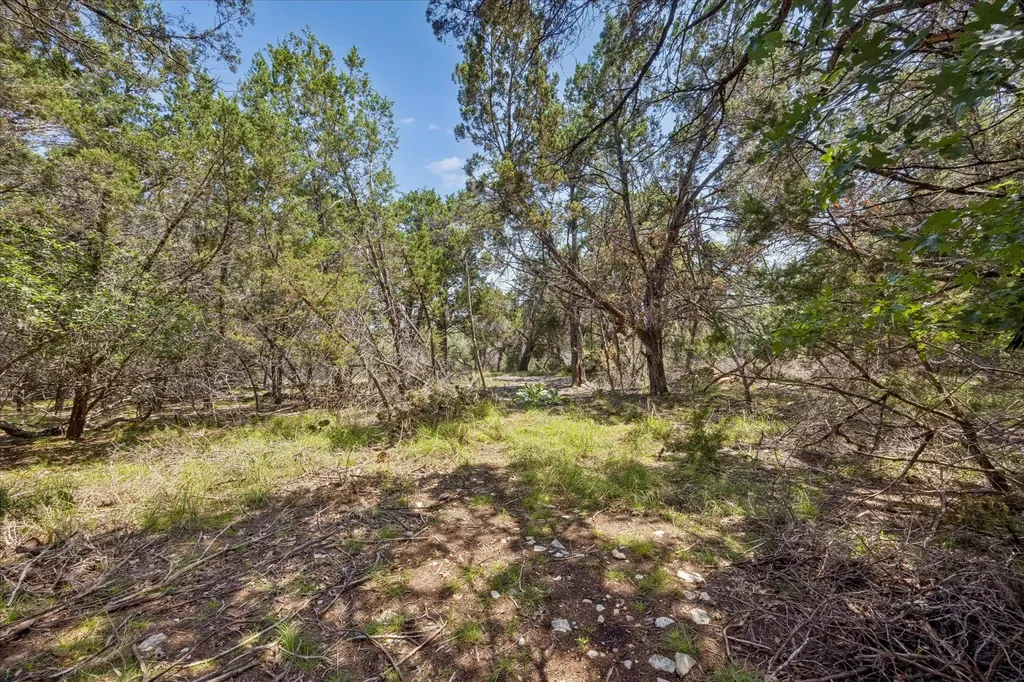 175 Spanish Oak Lane Liberty Hill TX 78642