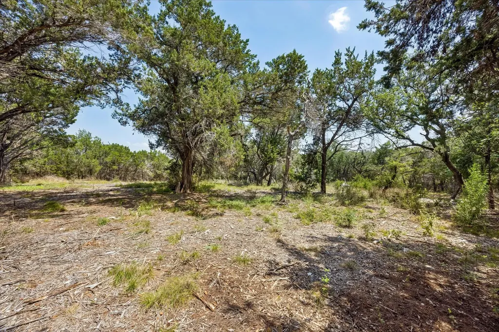 175 Spanish Oak Lane Liberty Hill TX 78642