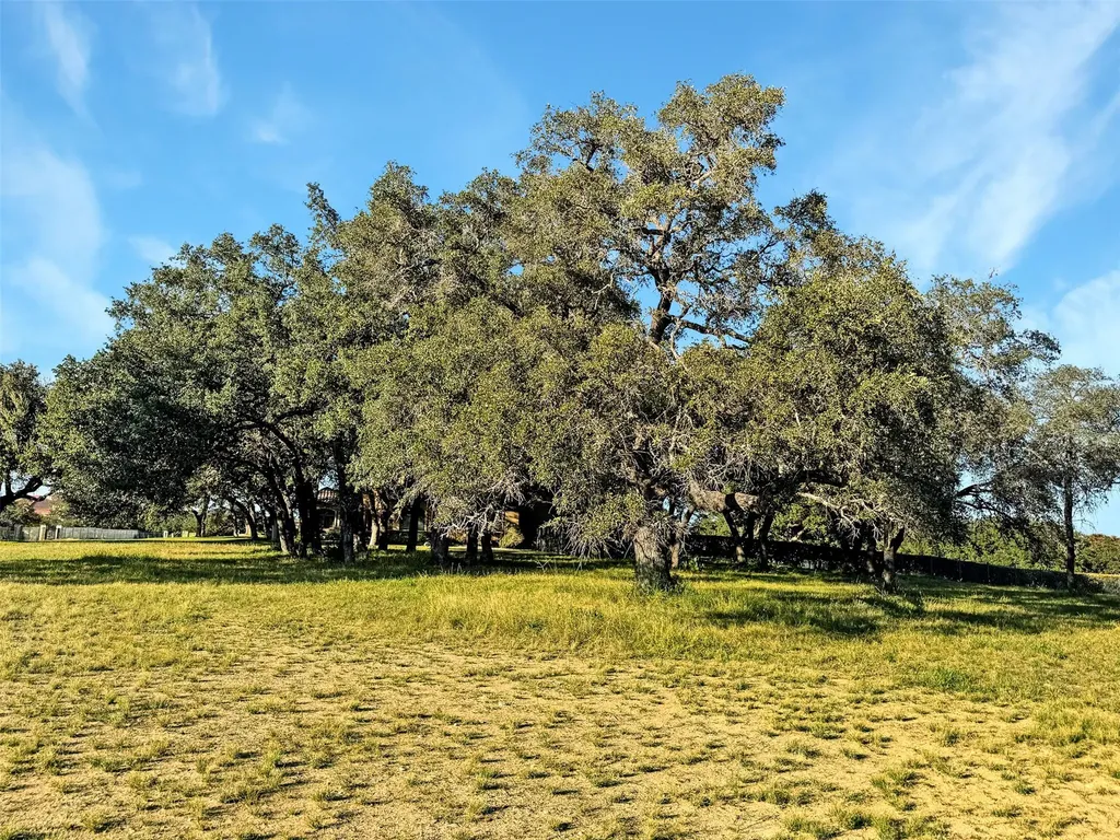 25700 Cliff Circle Spicewood TX 78657