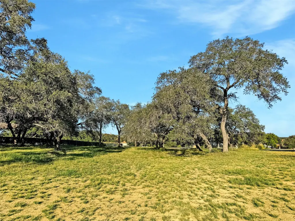 25700 Cliff Circle Spicewood TX 78657
