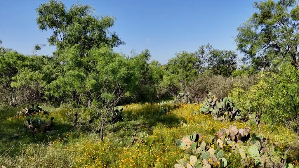 204 Lagitos Lane Llano TX 78643