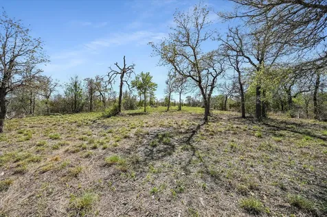 000 Leisure Lane Cedar Creek TX 78612
