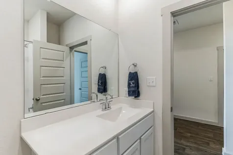 217 Greens Bayou Trail Hutto TX 78634