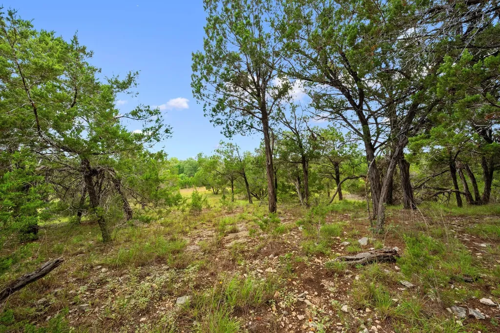 1029 Sunset Canyon Drive Dripping Springs TX 78620