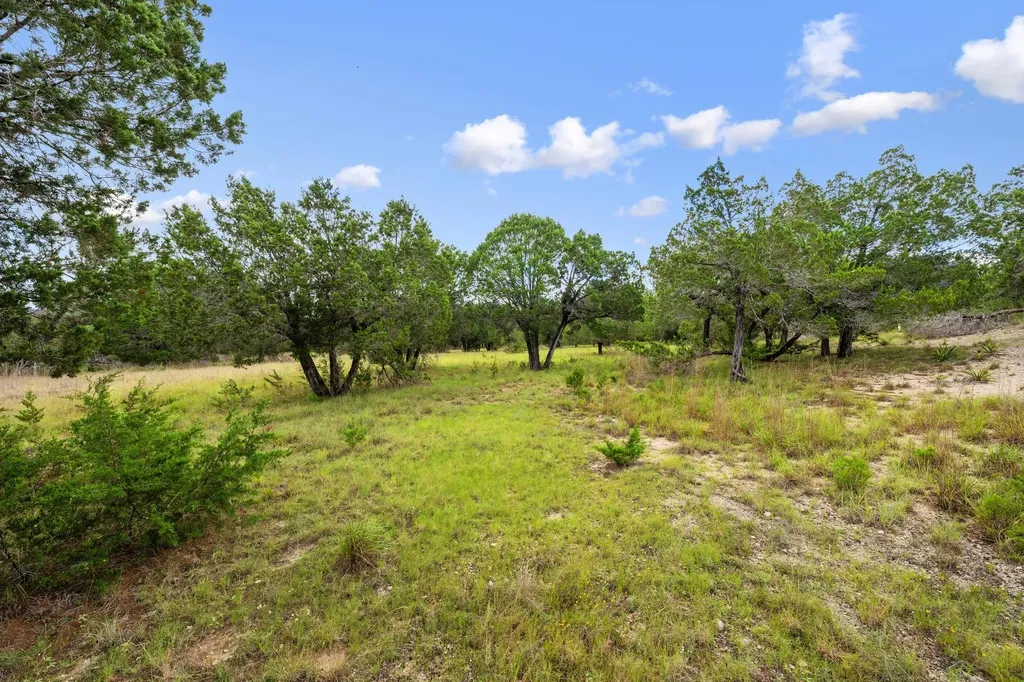 1029 Sunset Canyon Drive Dripping Springs TX 78620