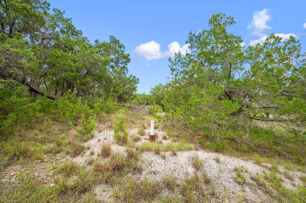 1029 Sunset Canyon Drive Dripping Springs TX 78620