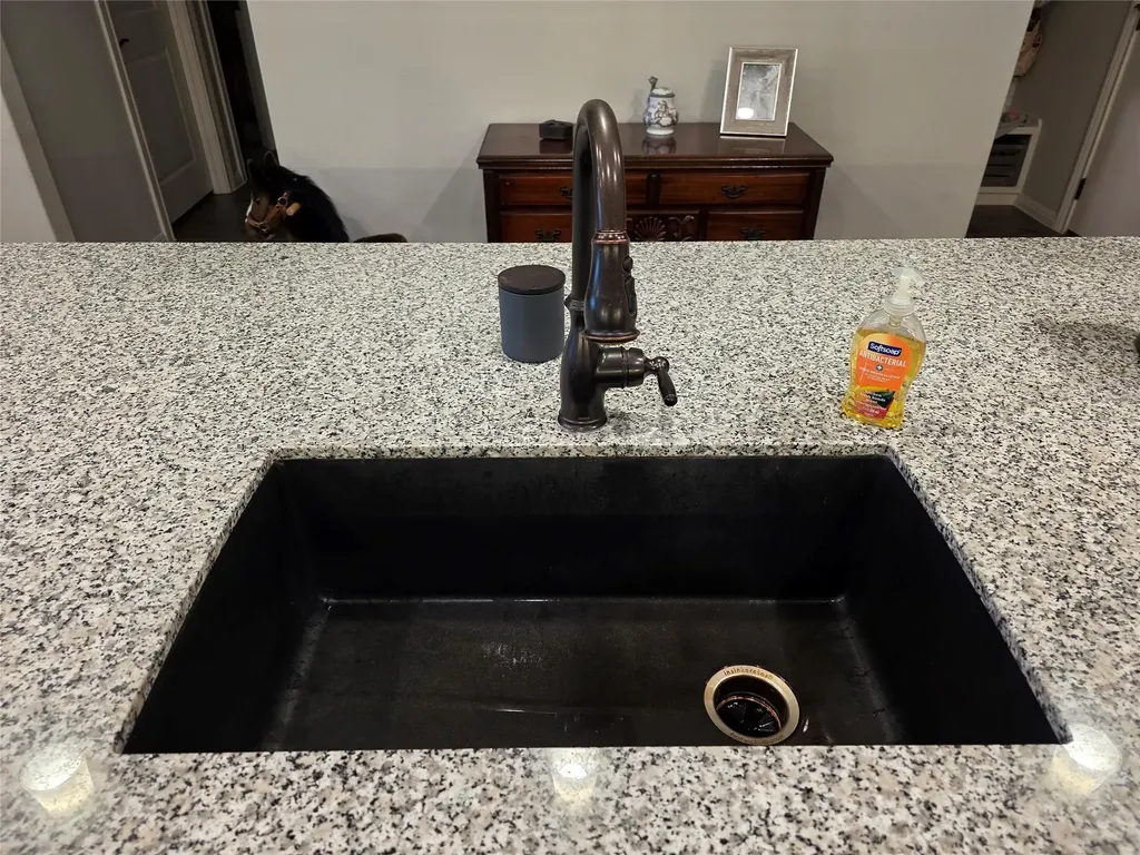 461 Grace Lilly Drive Glens Buda TX 78610
